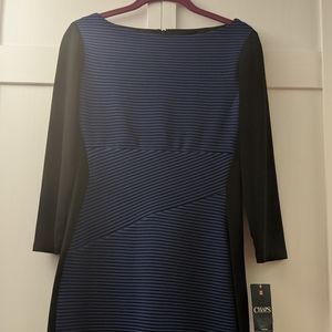 Women's dress NWT
